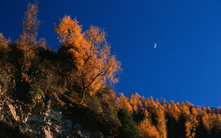 秋天最美的枫叶风景图片