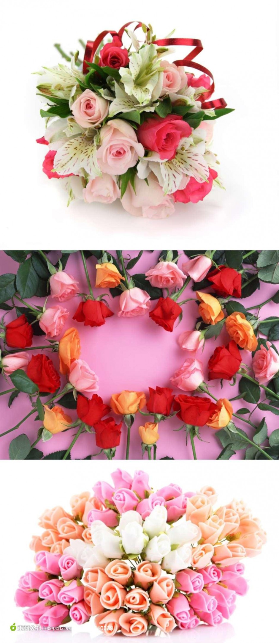 五颜六色的玫瑰花图片素材