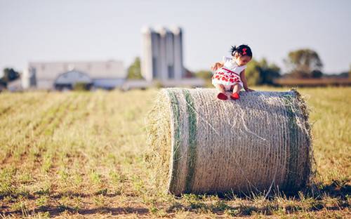 可爱呆萌的欧美萌娃图片赏析