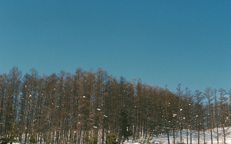 日本北海道雪景精美壁纸