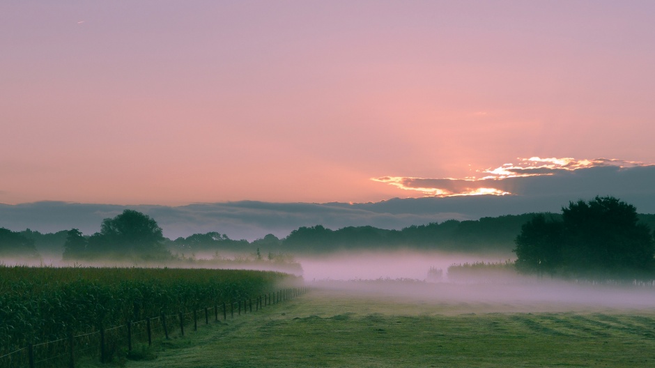 清晨平原云雾袅袅风景图片