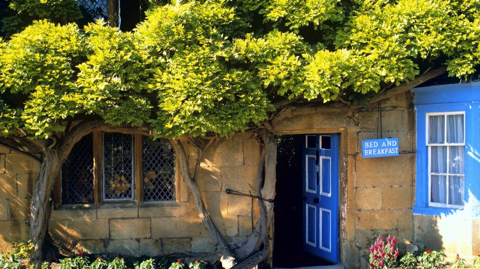 浪漫唯美荷兰乡村风景图片