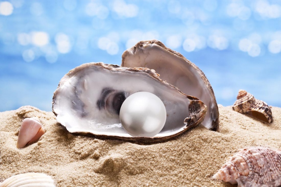 沙滩上的唯美贝壳珍珠图片