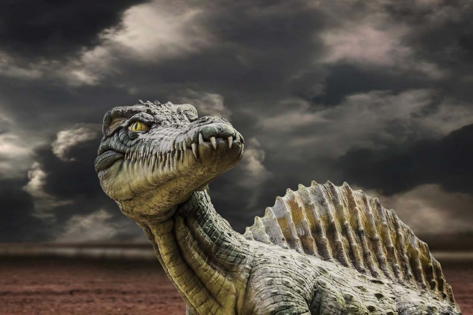 野生动物恐龙高清创意图片