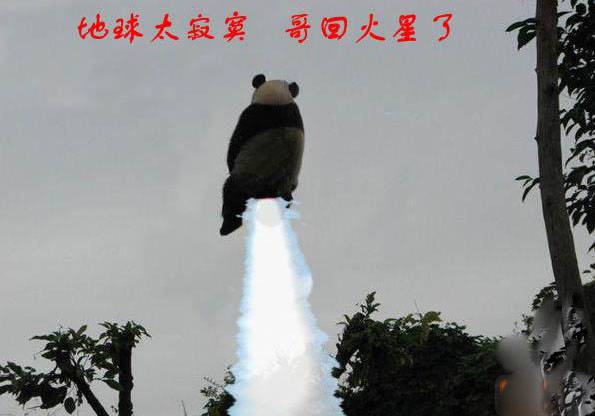回火星的熊猫搞笑PS图片
