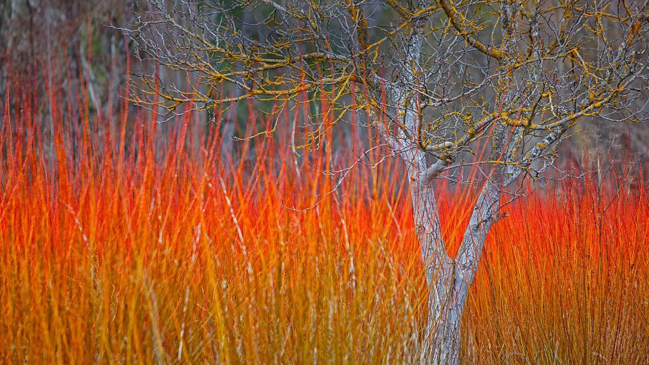 2017最新美到醉的风景图片