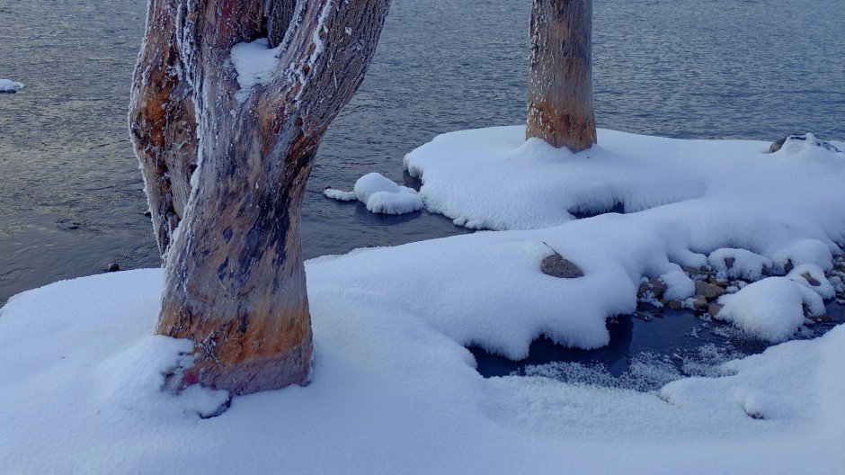 阿尔山森林公园冬日雪景图片
