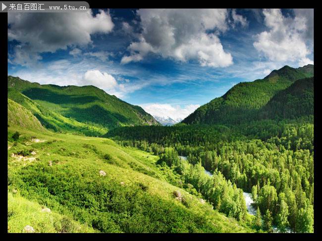 大自然的绿色山林风景图片