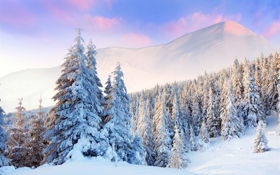 俄罗斯冬天森林浪漫雪景高清壁纸