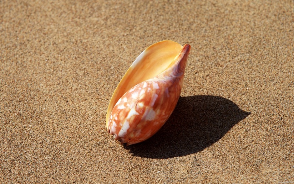 浪漫唯美的热带海岛沙滩风景壁纸