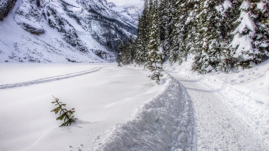 山间道路的唯美伤感雪景图片