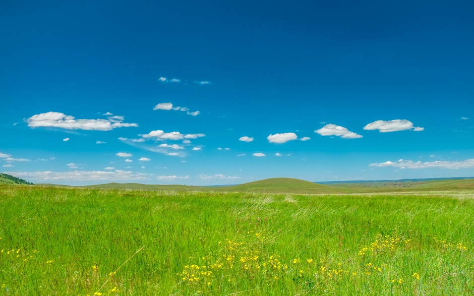 绿色的草原自然风景图片