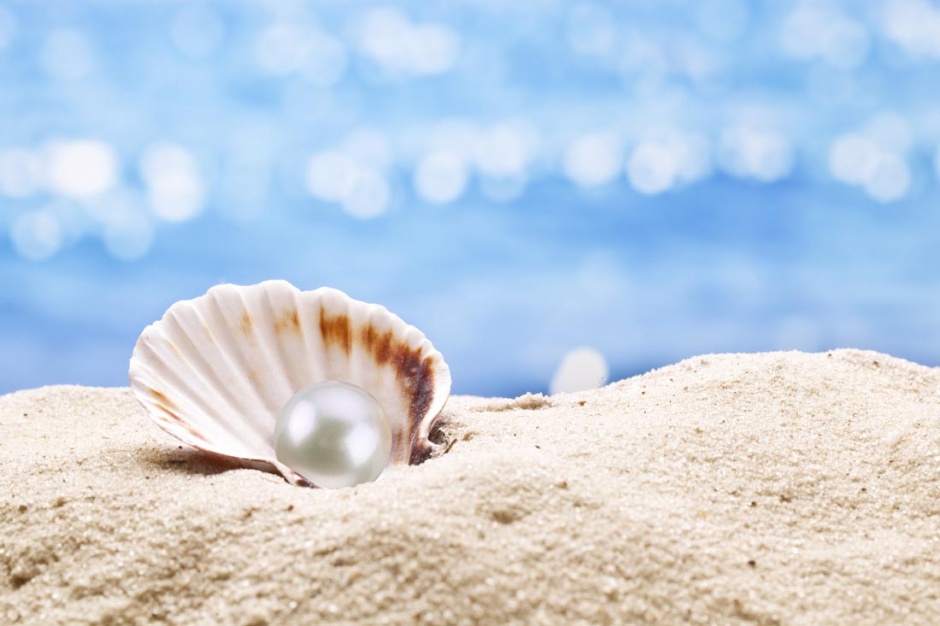 沙滩上的唯美贝壳珍珠图片