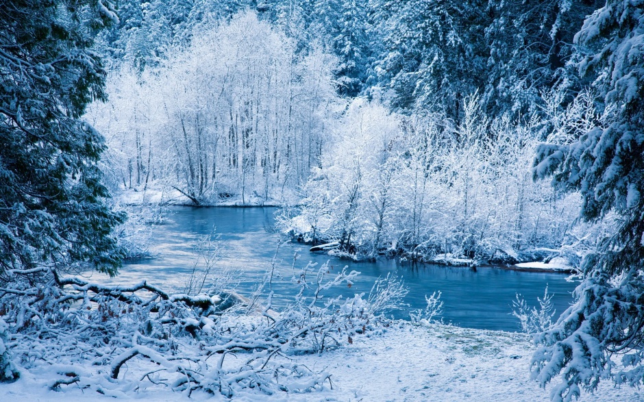 2017唯美浪漫雪景图片欣赏