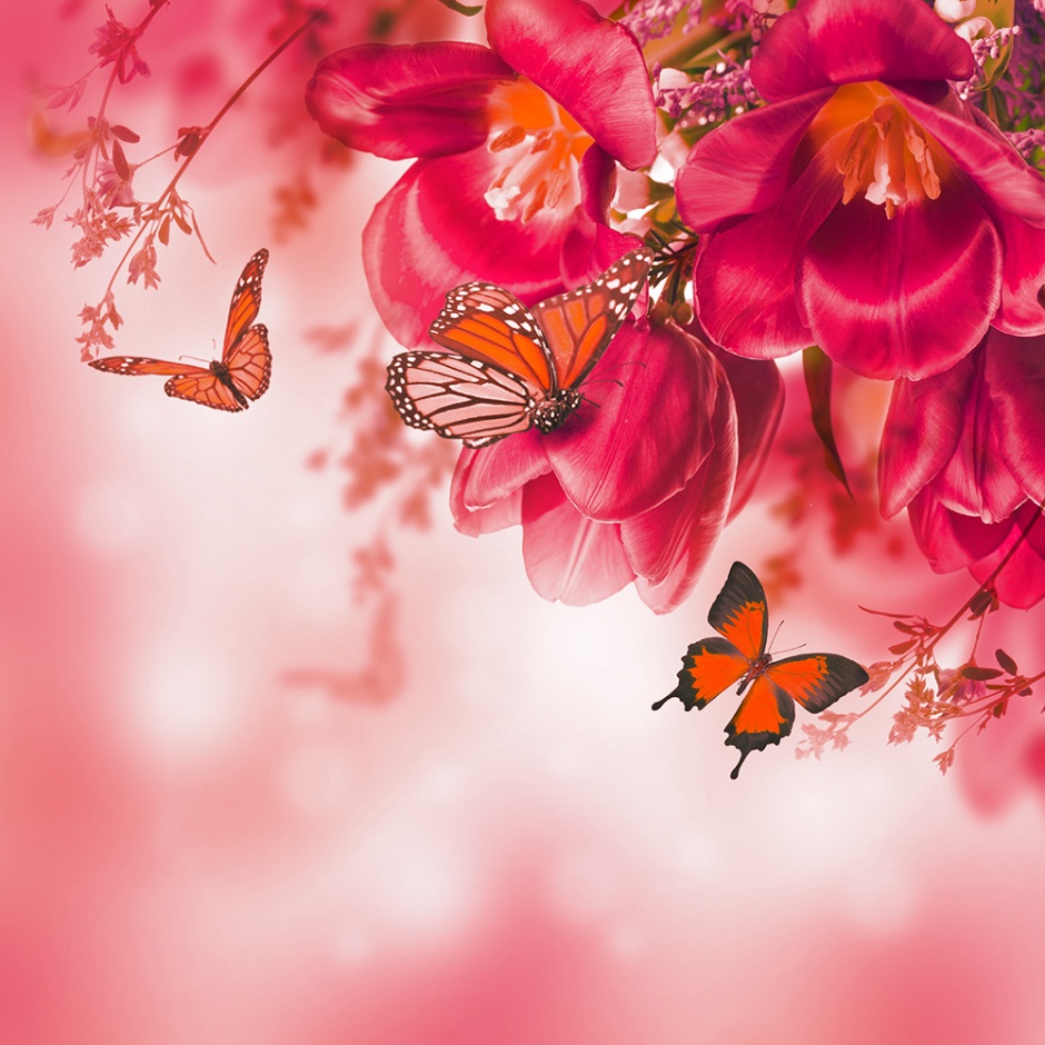 唯美浪漫的春天蝴蝶水彩花卉壁纸