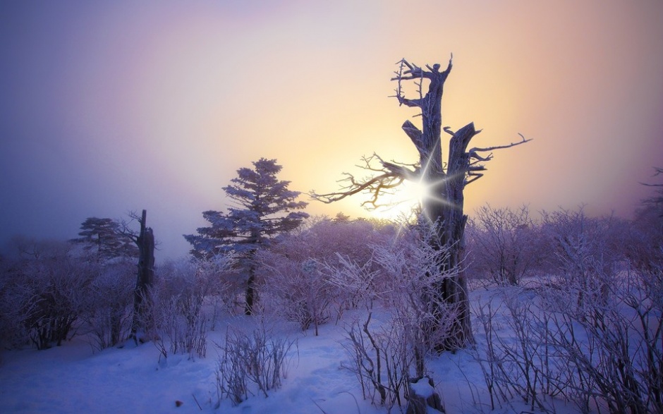 精选雪花满地自然风景图片