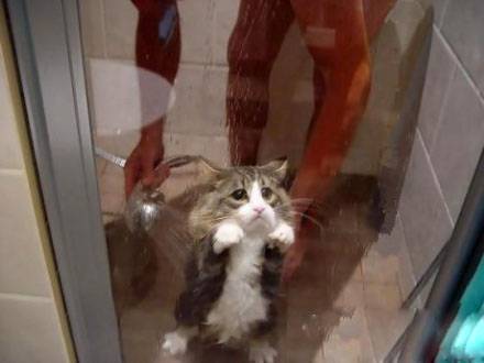 动物搞笑图片之我不要洗澡