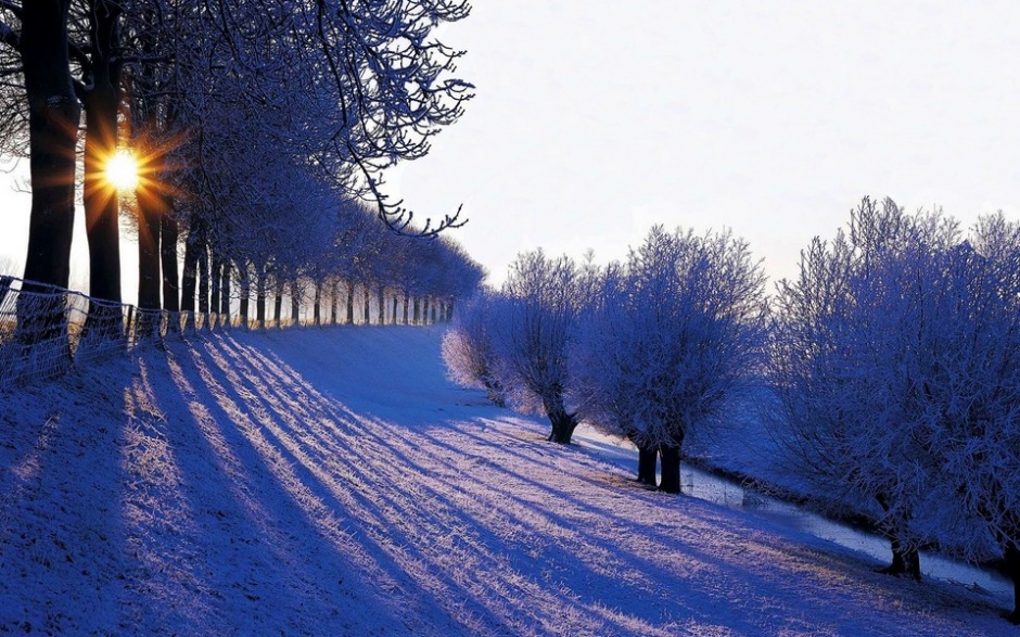 冬天的下雪风景唯美图片