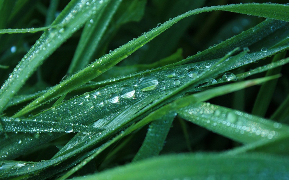 大自然多姿多彩的风景图片