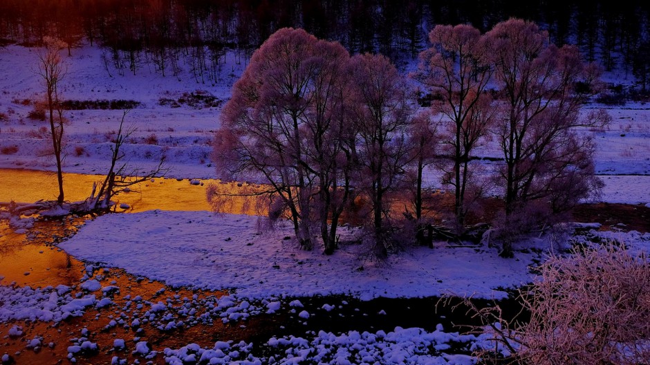 阿尔山森林公园冬日雪景图片