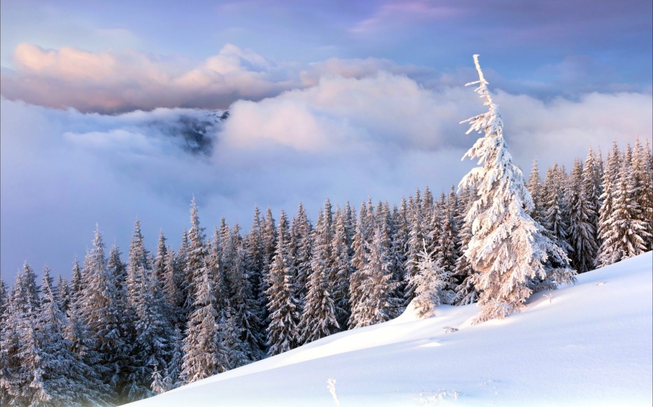 俄罗斯冬天森林浪漫雪景高清壁纸