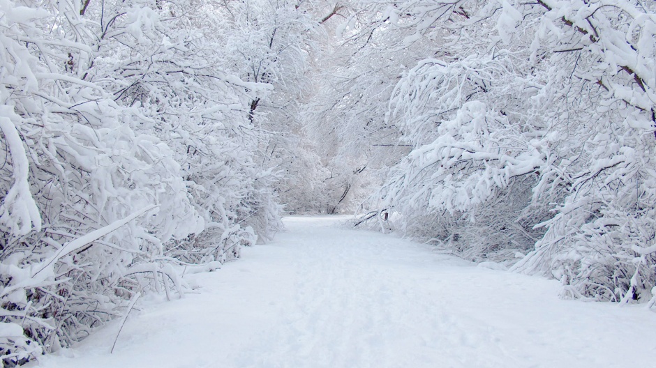 山间道路的唯美伤感雪景图片