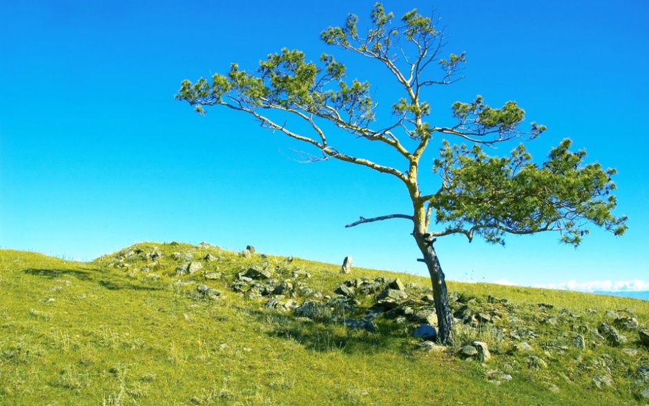 西伯利亚自然风景的图片欣赏