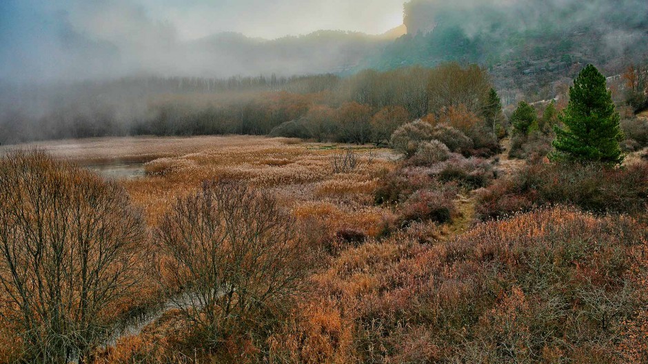 2017最新美到醉的风景图片