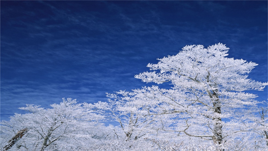 冬季唯美护眼雪景电脑桌面壁纸