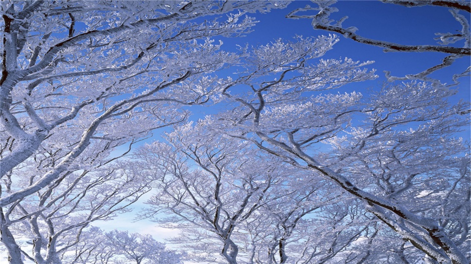 冬季唯美护眼雪景电脑桌面壁纸
