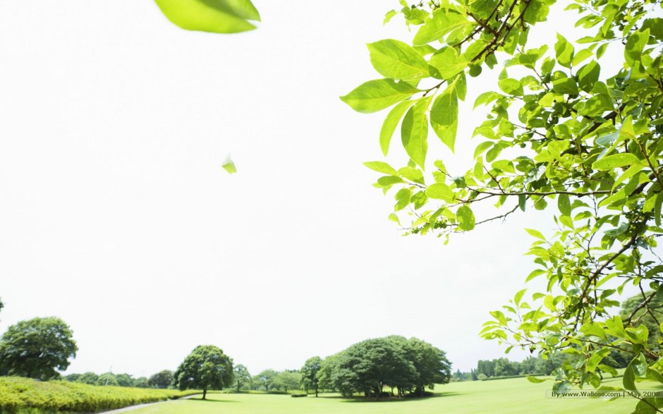 春日淡雅清新绿色植物ppt背景图片