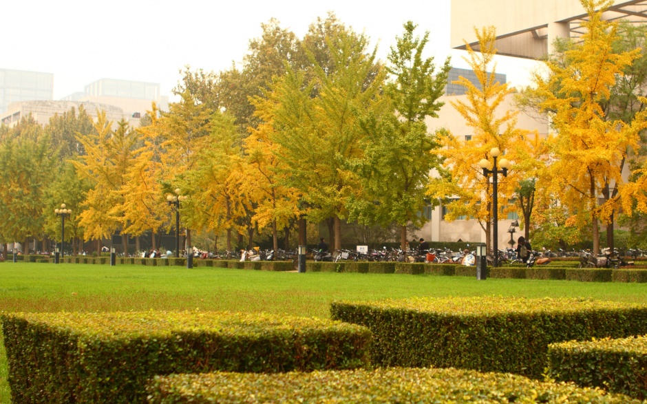 清华大学校园风景高清电脑壁纸