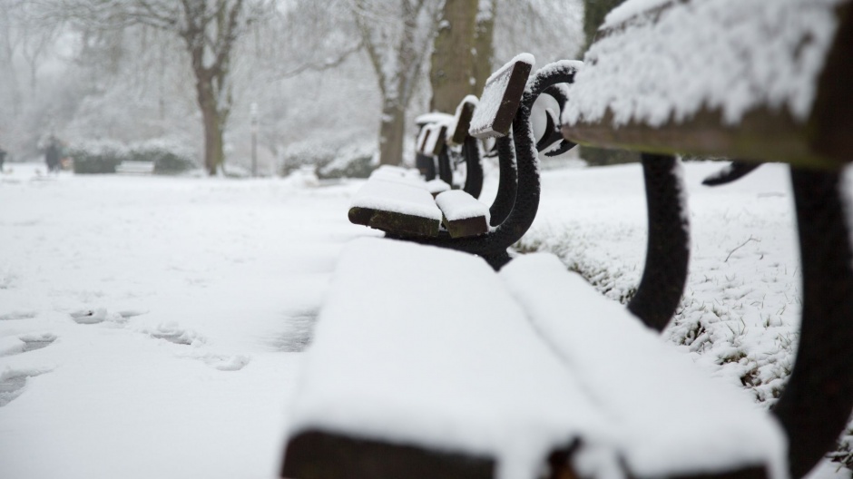 公园的冬日雪景高清电脑壁纸