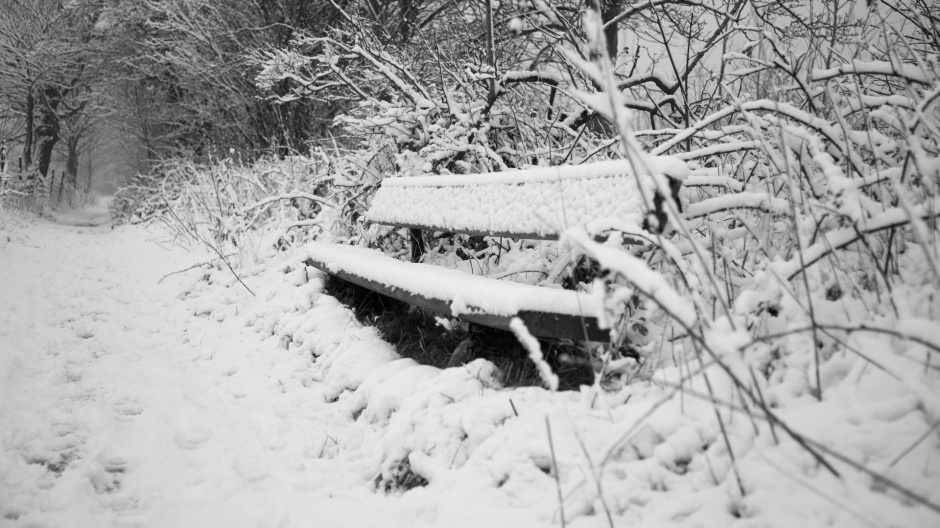 公园的冬日雪景高清电脑壁纸