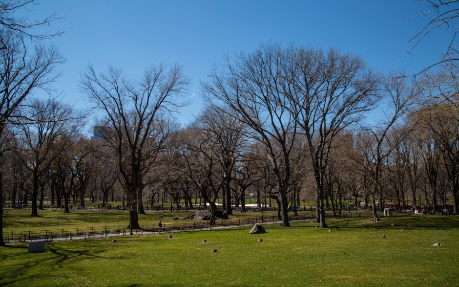 纽约中央公园秋天醉人风景图片