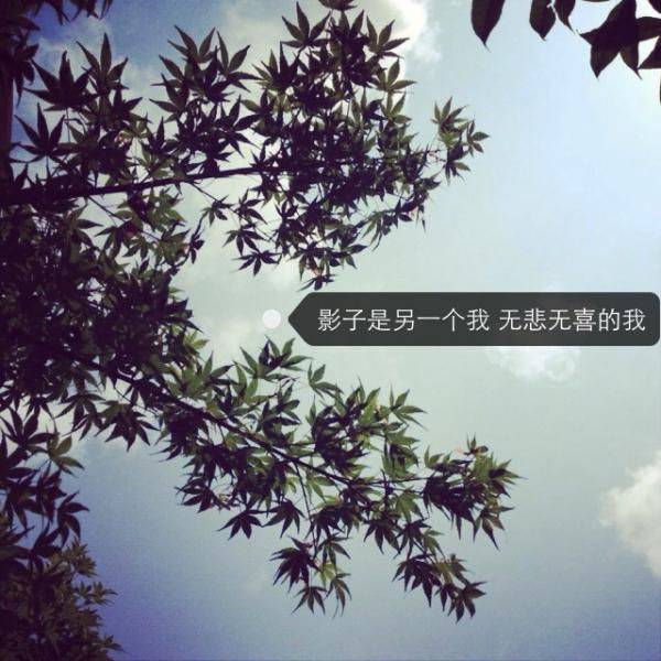 非主流唯美文字意境图片