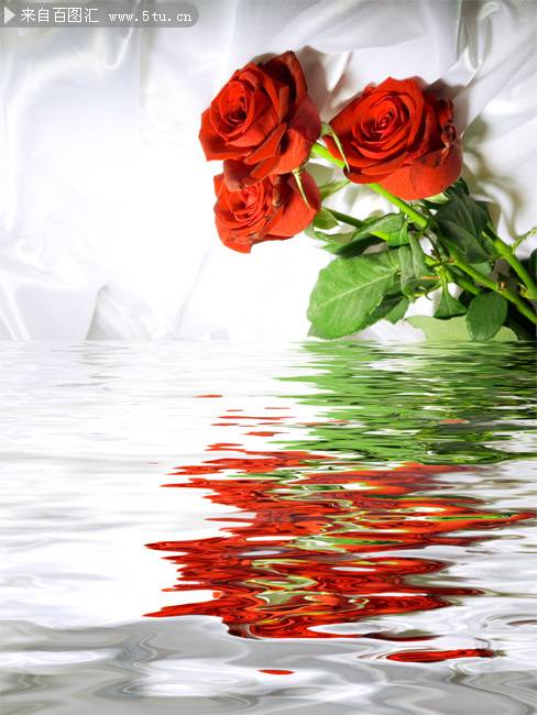 水中的玫瑰花ppt背景图片