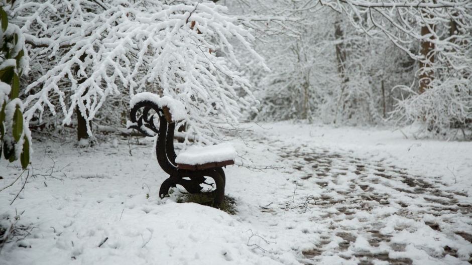 公园的冬日雪景高清电脑壁纸