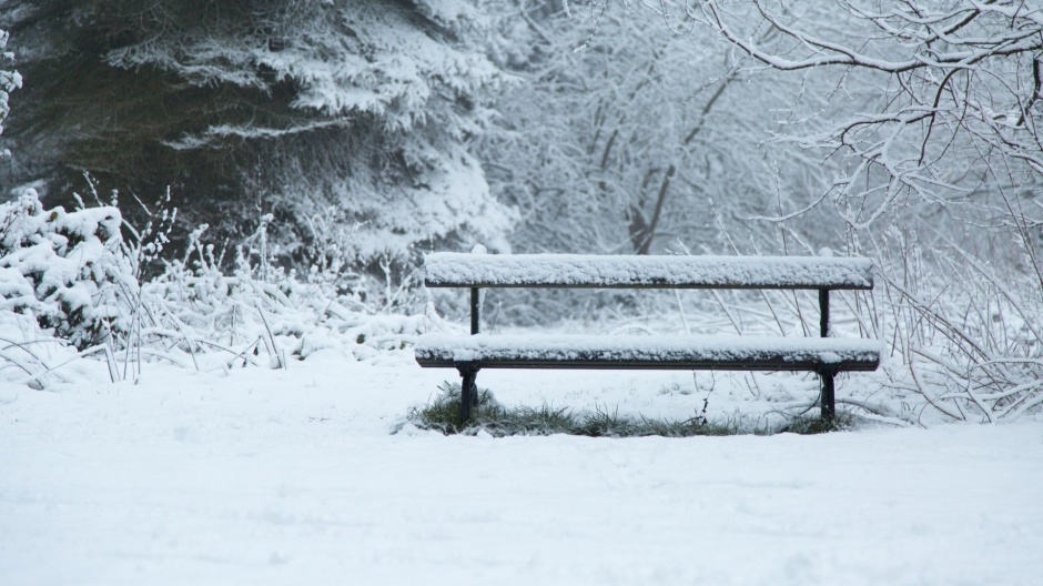 公园的冬日雪景高清电脑壁纸