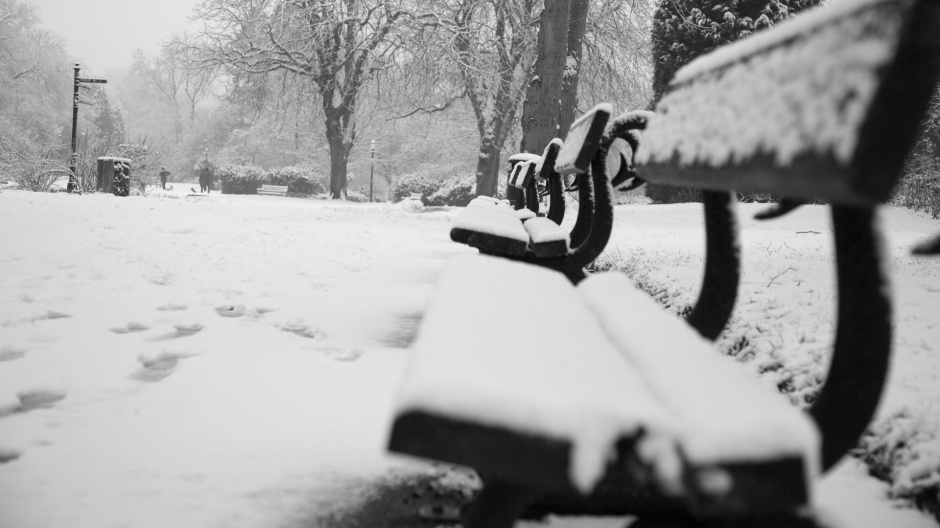 公园的冬日雪景高清电脑壁纸