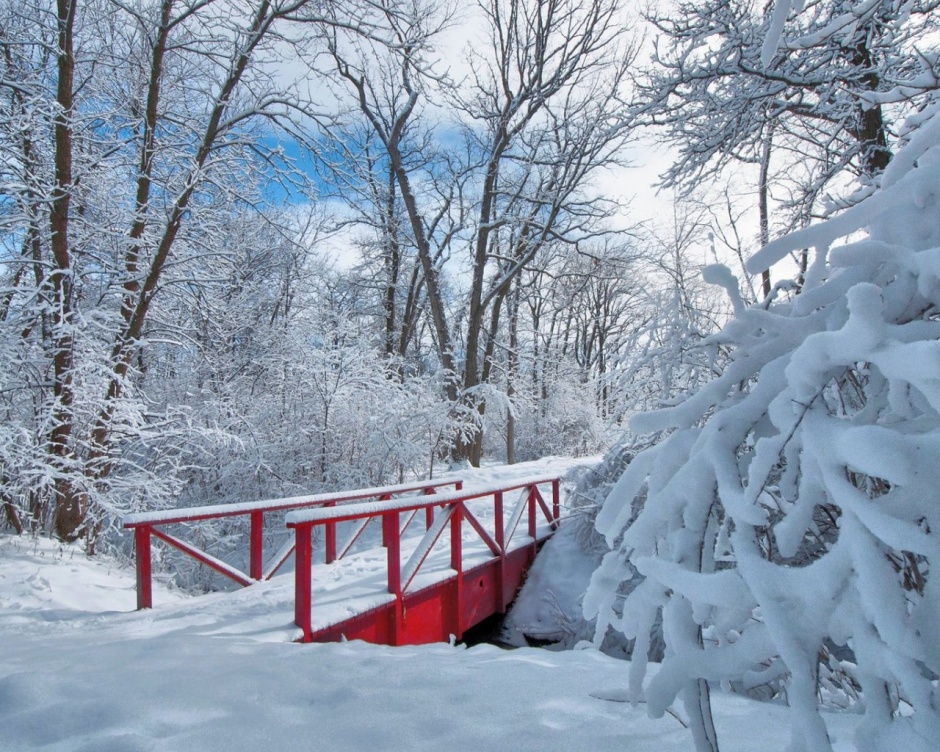 高清唯美的雪景主题桌面壁纸