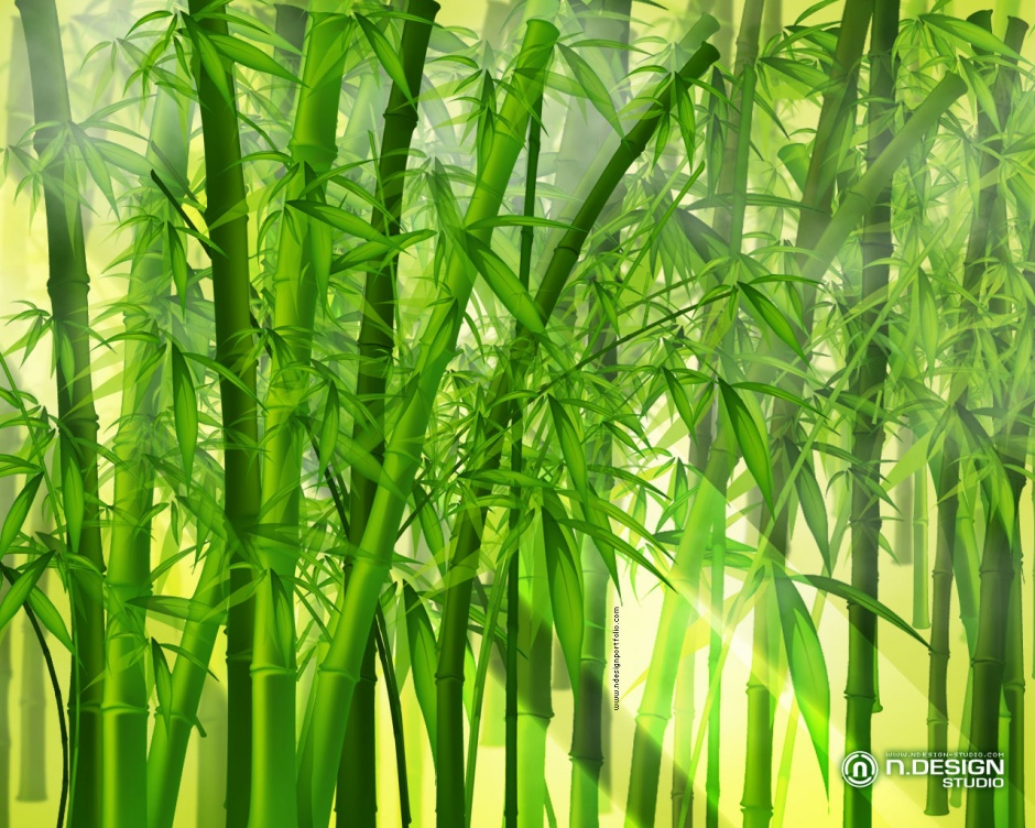 最新绿色植物背景高清图片 26abc图片大全