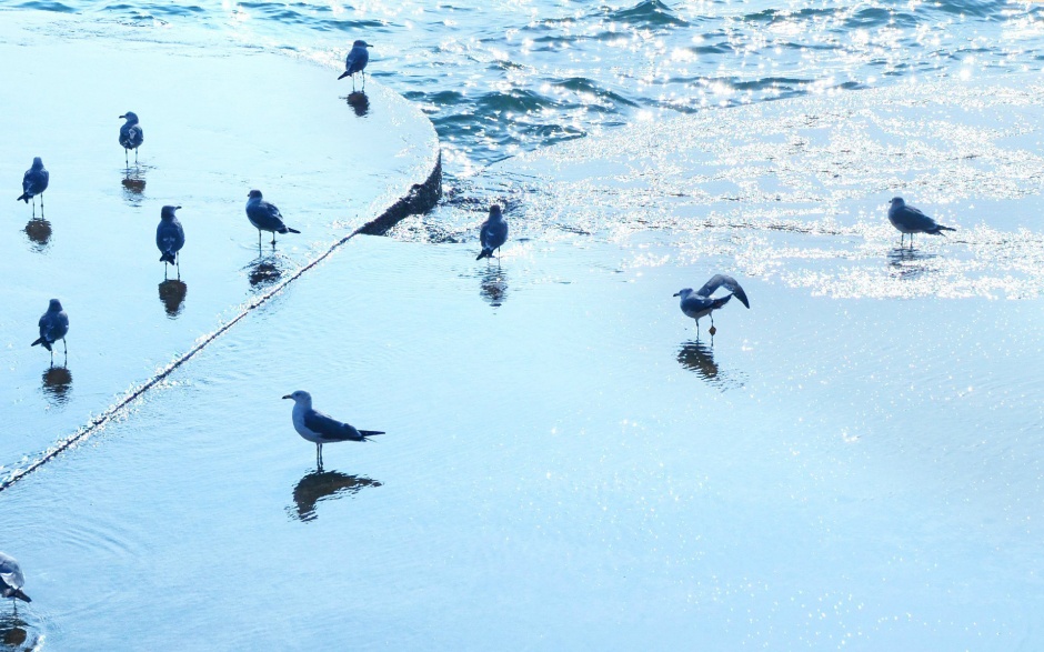 美丽大海蓝色小清新风景壁纸图片