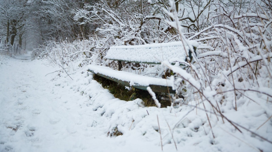 公园的冬日雪景高清电脑壁纸