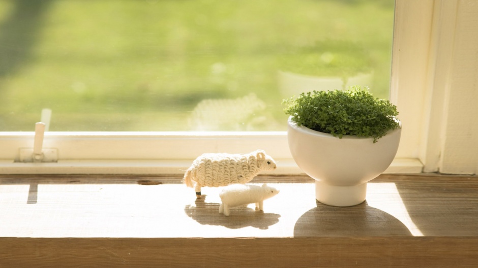 春天绿色植物小清新意境风景图片