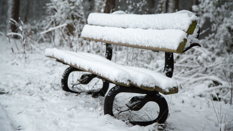 公园的冬日雪景高清电脑壁纸