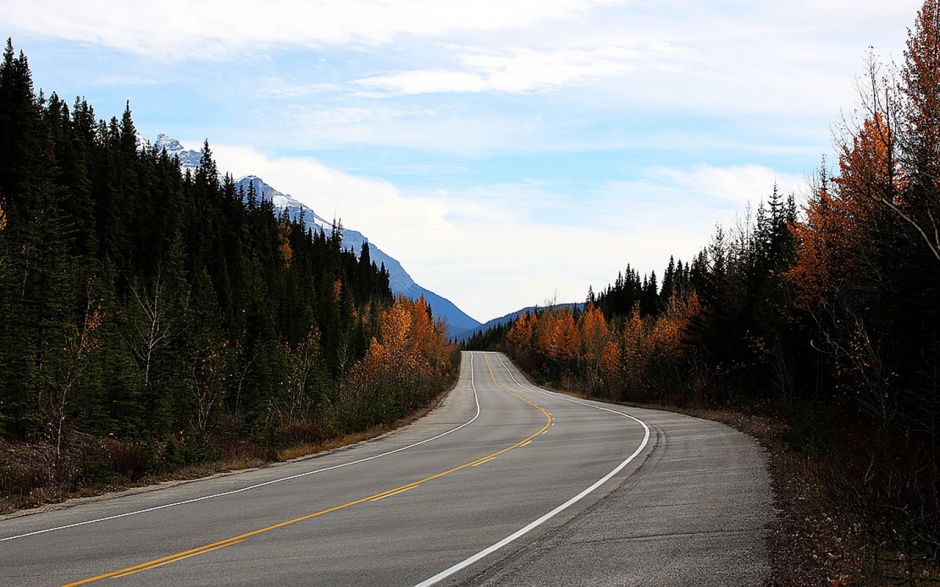 笔直壮观的秋天山谷公路风景图片壁纸