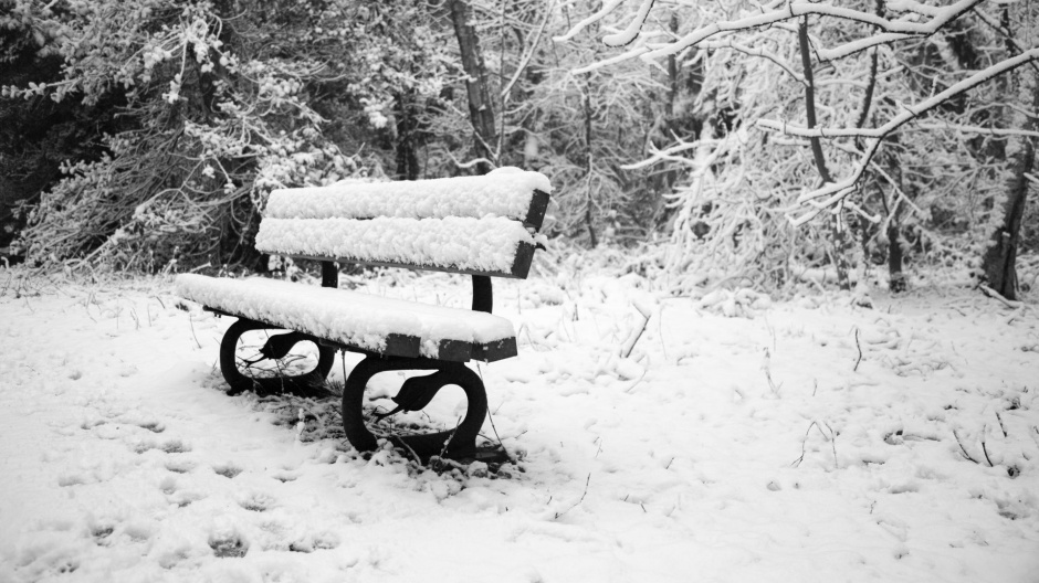 公园的冬日雪景高清电脑壁纸