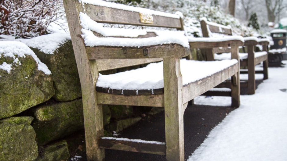 公园的冬日雪景高清电脑壁纸