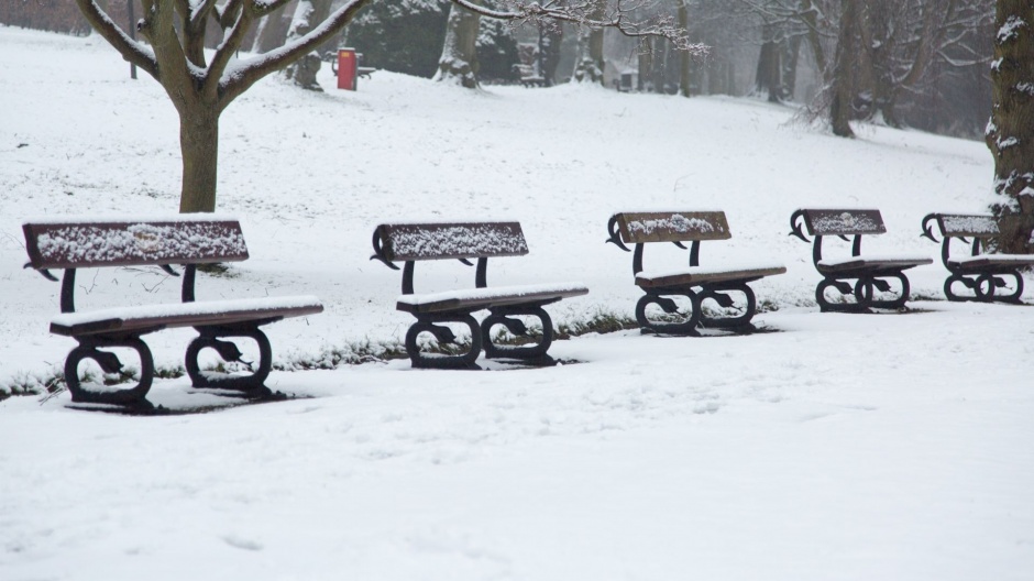 公园的冬日雪景高清电脑壁纸